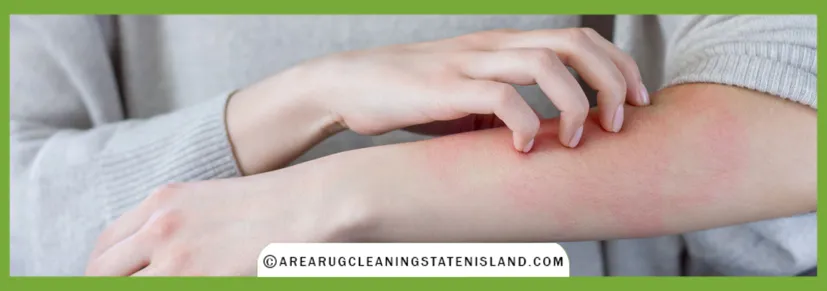 Allergy Control Services Process